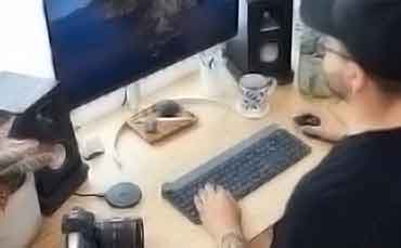 cc网页端